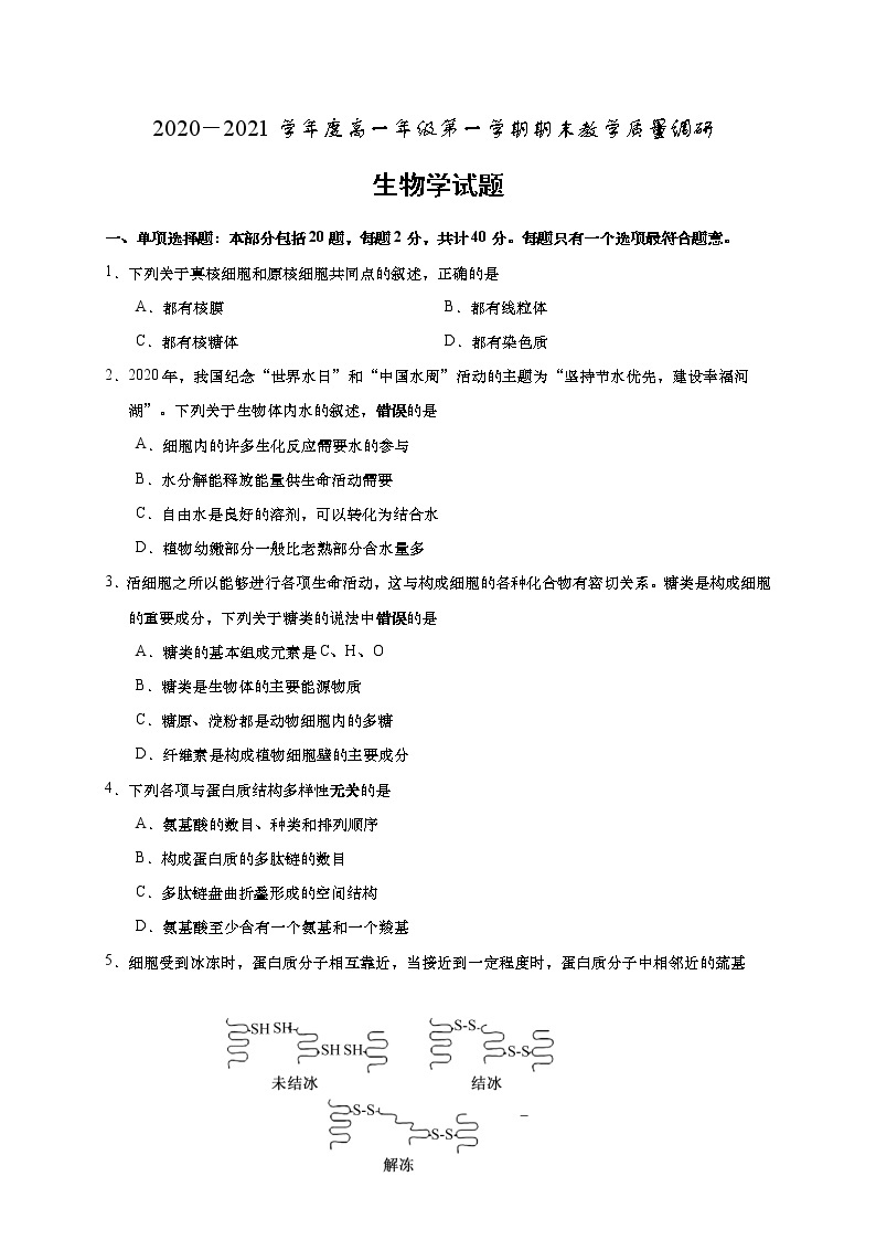 江苏省如皋市2020-2021学年高一上学期期末教学质量调研生物试题01