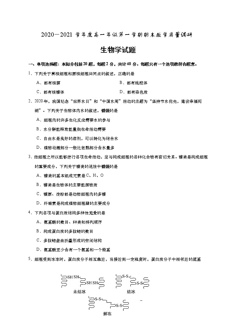 江苏省如皋市2020-2021学年高一上学期期末教学质量调研生物试题01