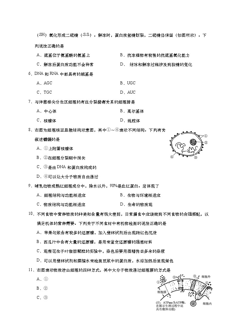 江苏省如皋市2020-2021学年高一上学期期末教学质量调研生物试题02