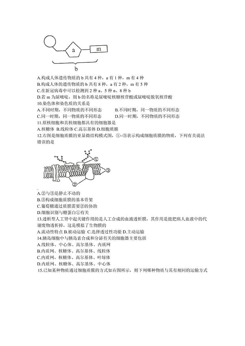 2020-2021学年南外高一上生物期末试卷&答案第2页