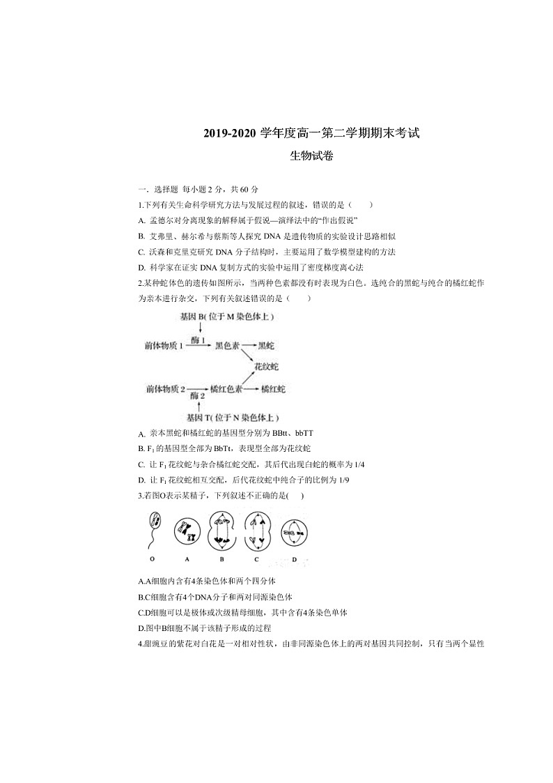 河北省沧州一中2019-2020高一生物下学期期末考试试题（Word版附答案）第1页