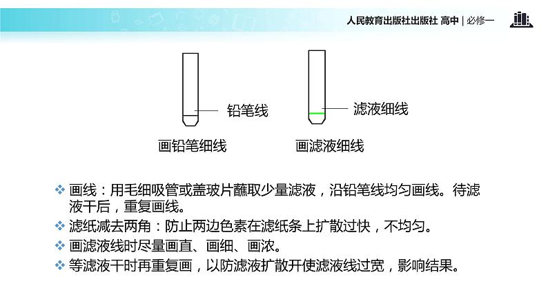 【教学课件】《捕获光能的色素和结构》（人教）05