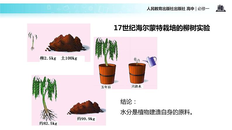 【教学课件】《光合作用的原理和利用》（人教）04