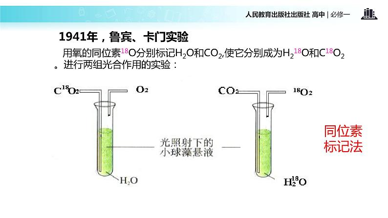 【教学课件】《光合作用的原理和利用》（人教）08