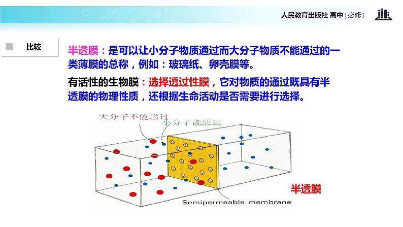 【教学课件】《物质跨膜运输的实例》（生物人教必修1）07