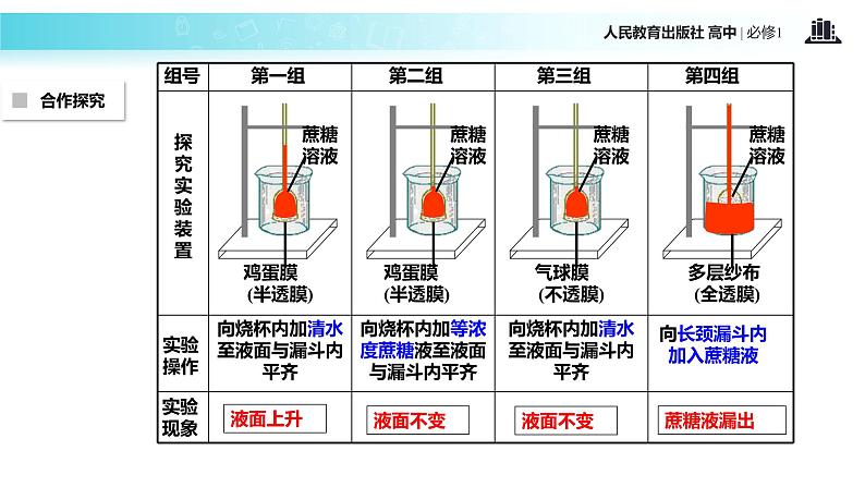 【教学课件】《物质跨膜运输的实例》（生物人教必修1）08