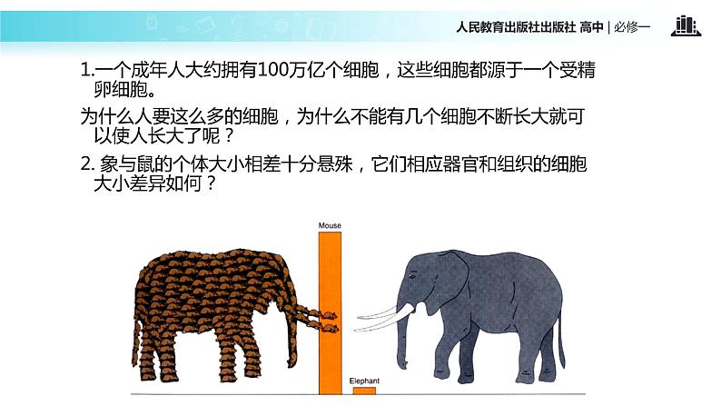 【教学课件】《细胞的增殖》（人教）03