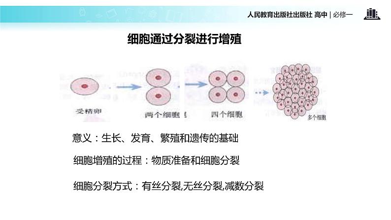 【教学课件】《细胞的增殖》（人教）07