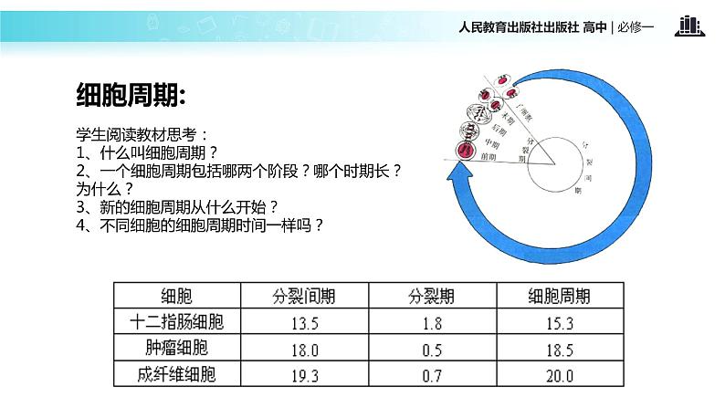 【教学课件】《细胞的增殖》（人教）08