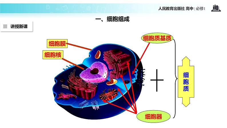 【教学课件】《细胞器—系统内的分工合作》（生物人教必修1）05