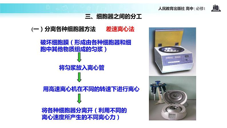 【教学课件】《细胞器—系统内的分工合作》（生物人教必修1）07