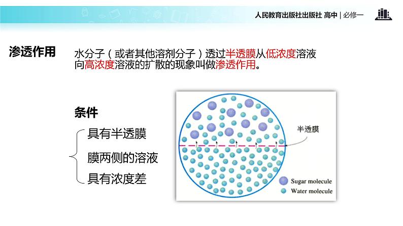 【教学课件】《物质跨膜运输的实例》（人教）06