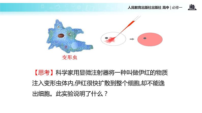 【教学课件】《细胞膜-系统的边界》（人教）第3页