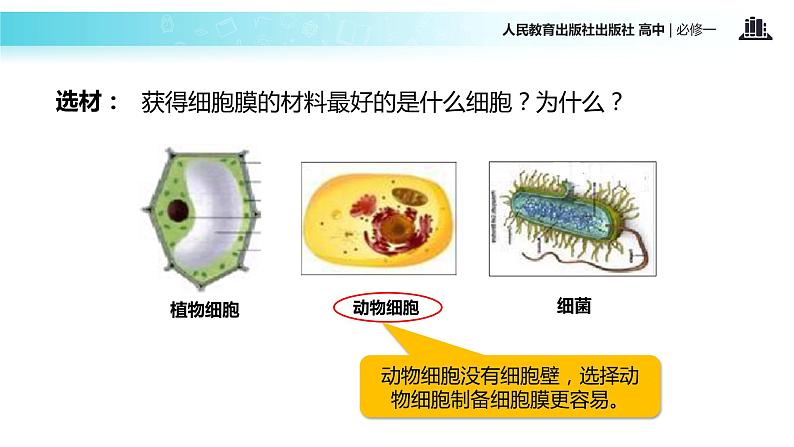 【教学课件】《细胞膜-系统的边界》（人教）第6页