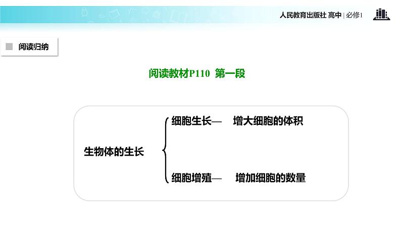 【教学课件】《细胞的增殖》（生物人教必修1）04