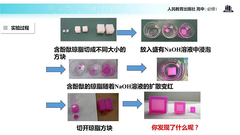 【教学课件】《细胞的增殖》（生物人教必修1）07