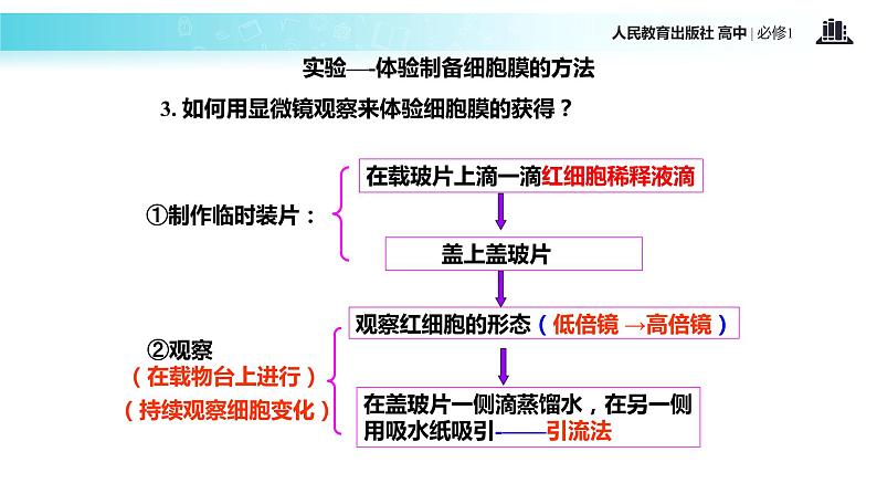 【教学课件】《细胞膜—系统的边界》（生物人教必修1）08