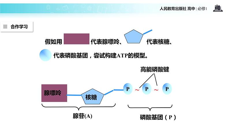 【教学课件】《细胞的能量“通货”—ATP》（生物人教必修1）06