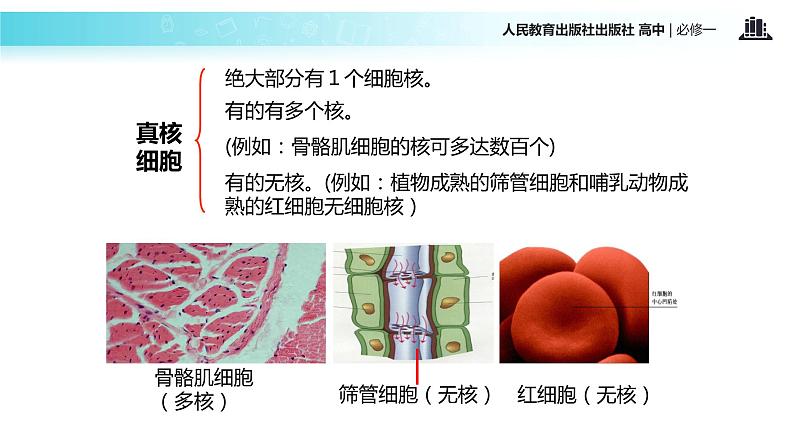 【教学课件】《细胞核—系统的控制中心》（人教）03