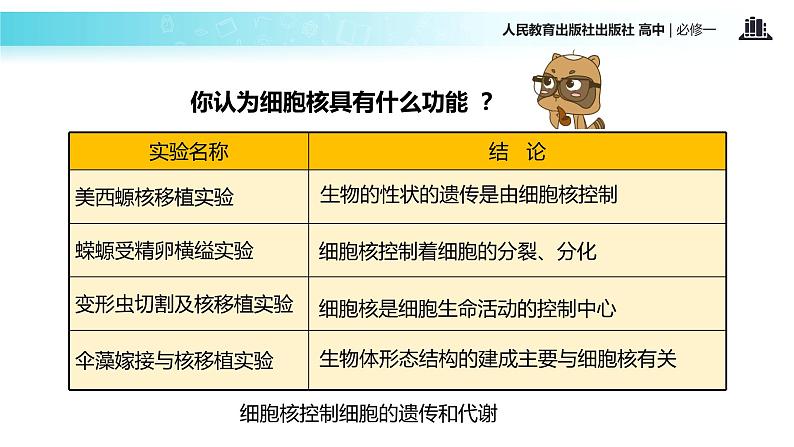 【教学课件】《细胞核—系统的控制中心》（人教）05