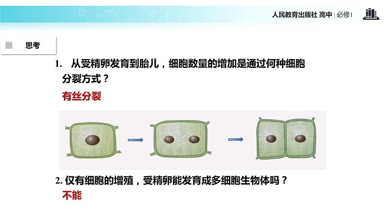 【教学课件】《细胞的分化》（生物人教必修1）06