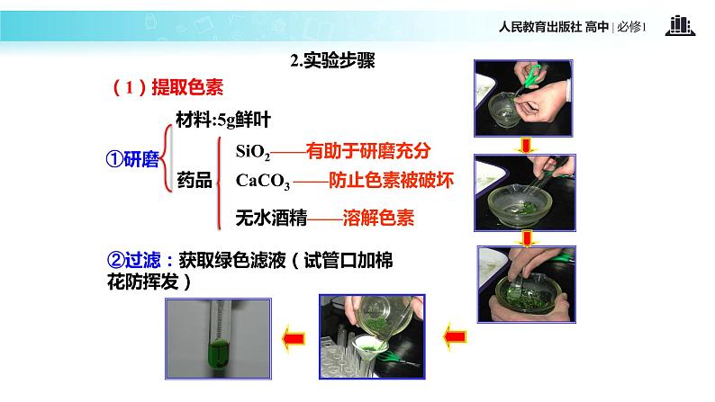 【教学课件】《能量之源—光与光合作用》（生物人教必修1）07