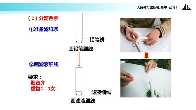 【教学课件】《能量之源—光与光合作用》（生物人教必修1）08