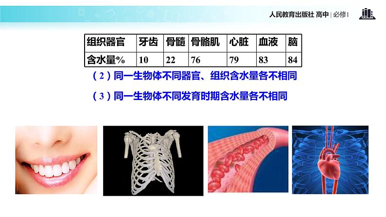 【教学课件】《细胞中的无机物》（生物人教必修1）07