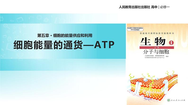 【教学课件】《细胞能量的通货—ATP》（人教）01