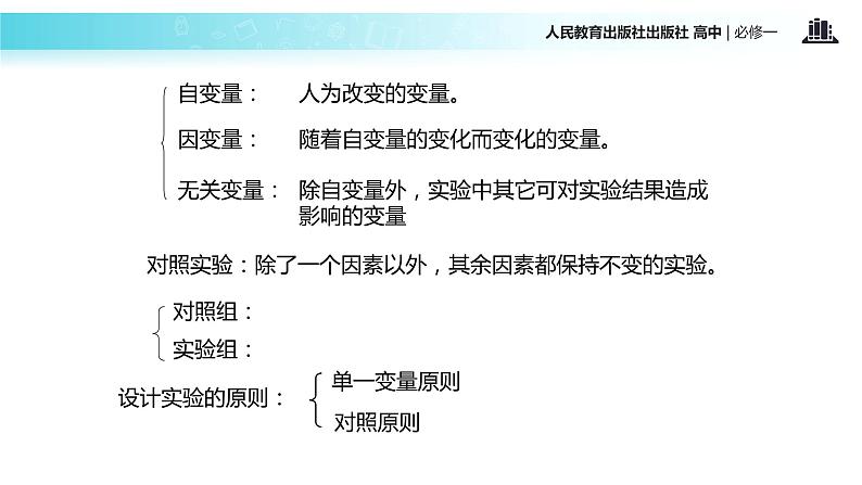 【教学课件】《降低化学反应活化能的酶》（人教）06