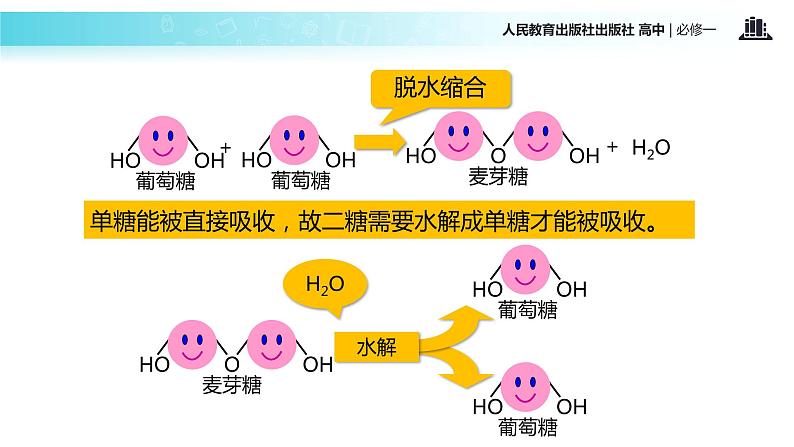 【教学课件】《细胞中的糖类和脂质》（人教）08