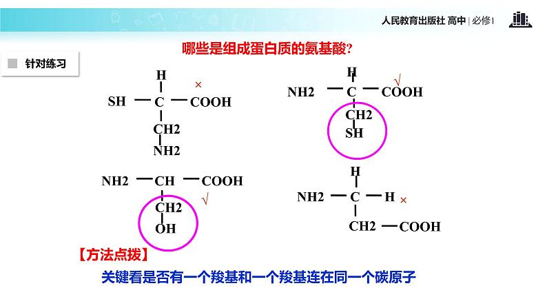 【教学课件】《生命活动的主要承担者-蛋白质》（生物人教必修1）第5页