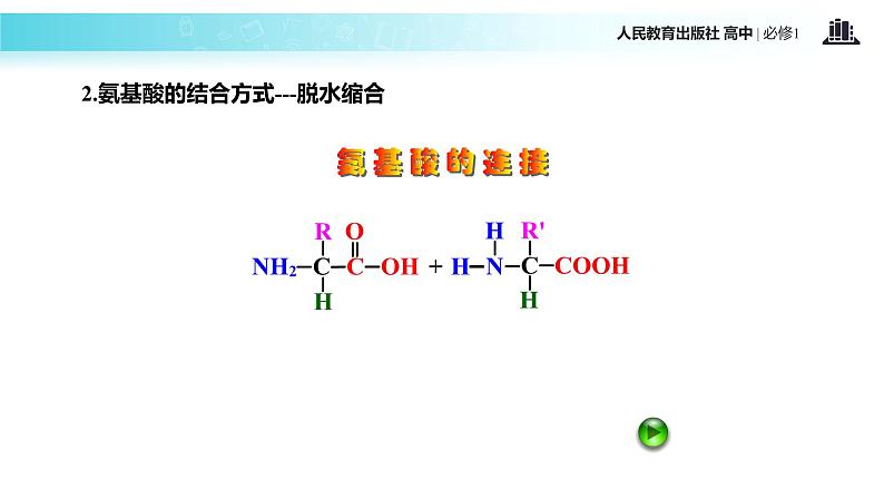 【教学课件】《生命活动的主要承担者-蛋白质》（生物人教必修1）第8页