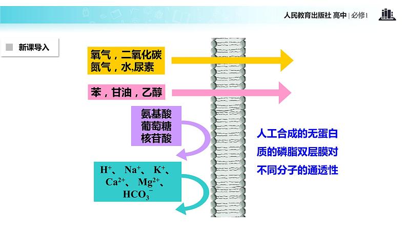 【教学课件】《物质跨膜运输的方式》（生物人教必修1）03