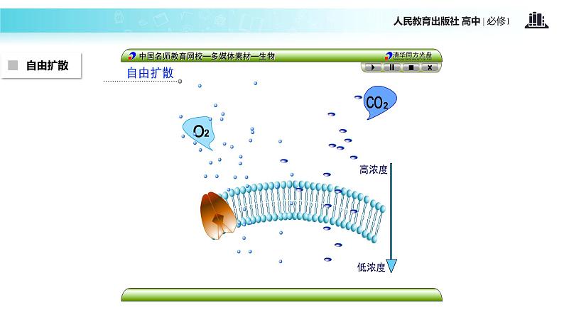 【教学课件】《物质跨膜运输的方式》（生物人教必修1）06