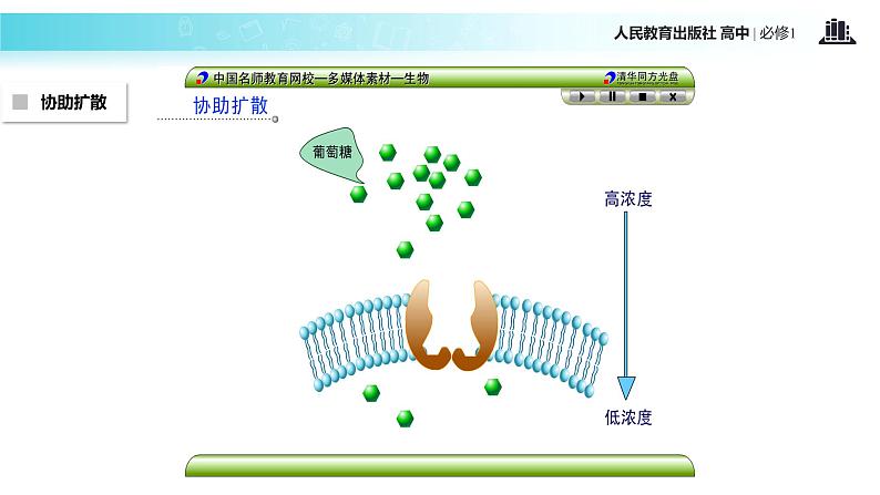 【教学课件】《物质跨膜运输的方式》（生物人教必修1）08