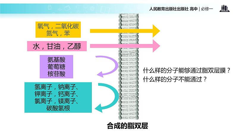 【教学课件】《物质跨膜运输的方式》（人教）03