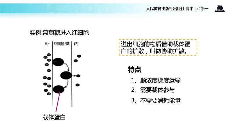 【教学课件】《物质跨膜运输的方式》（人教）08