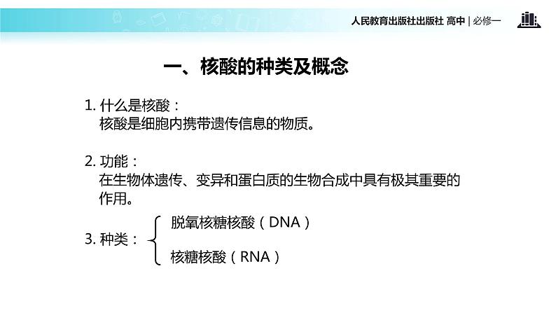 【教学课件】《遗传信息的携带者—核酸》（人教）04