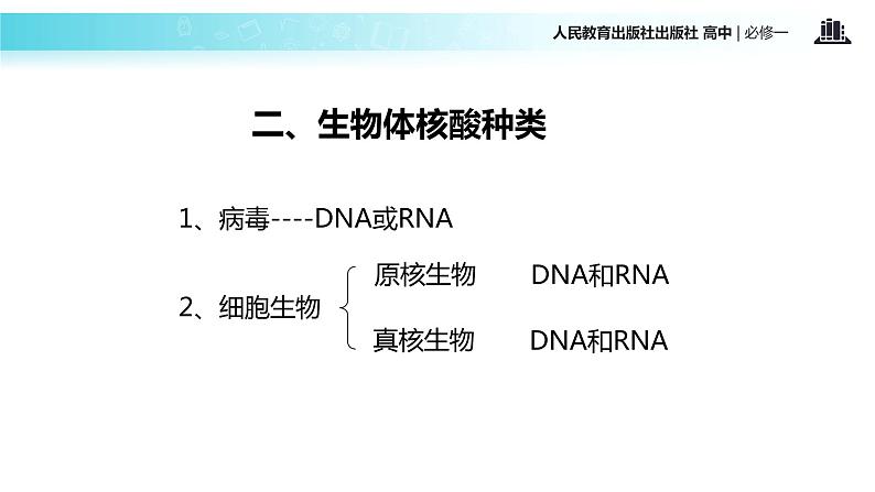 【教学课件】《遗传信息的携带者—核酸》（人教）05