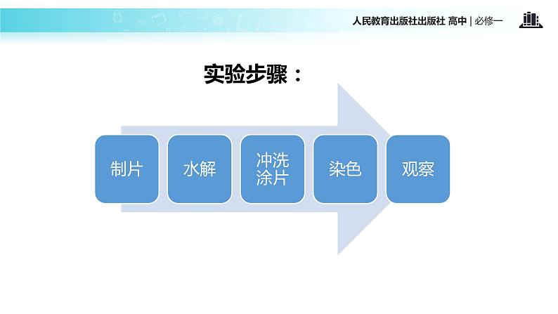 【教学课件】《遗传信息的携带者—核酸》（人教）07