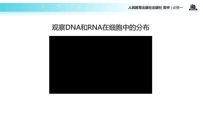 【教学课件】《遗传信息的携带者—核酸》（人教）08