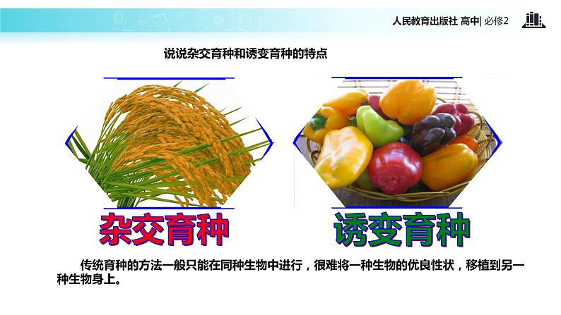 【教学课件】《基因工程及其应用》（人教）03