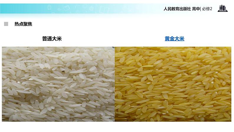 【教学课件】《基因工程及其应用》（人教）05