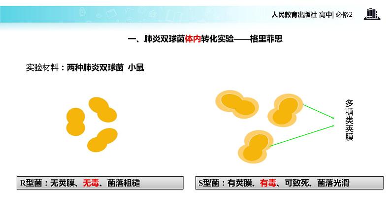 【教学课件】《DNA是主要的遗传物质》（人教）第7页