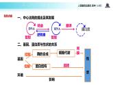 發(fā)現(xiàn)式教學【教學課件】《基因對性狀的控制》（人教） (1)