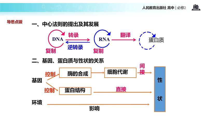 发现式教学【教学课件】《基因对性状的控制》（人教） (1)04