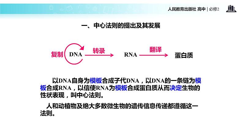 发现式教学【教学课件】《基因对性状的控制》（人教） (1)05