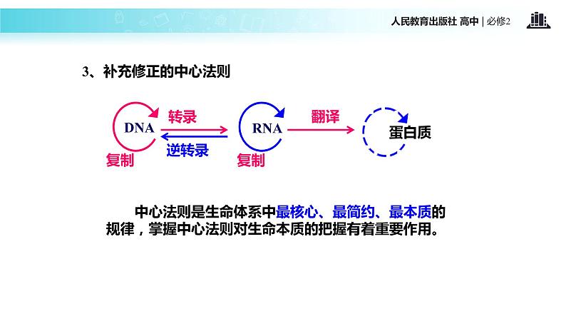 发现式教学【教学课件】《基因对性状的控制》（人教） (1)08