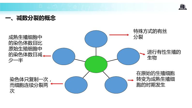 发现式教学【教学课件】《减数分裂和受精作用》（人教）07